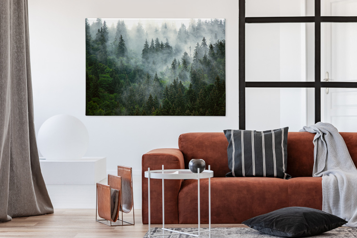Bild Natur Nebelwald im Wohnzimmer