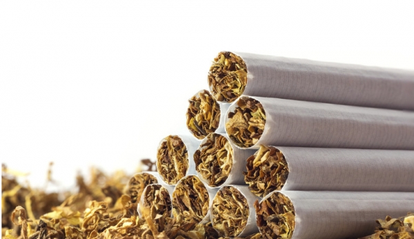 Historia tytoniu - czyli jak tytoń stał się tak popularny i rozprzestrzenił się po świecie?
