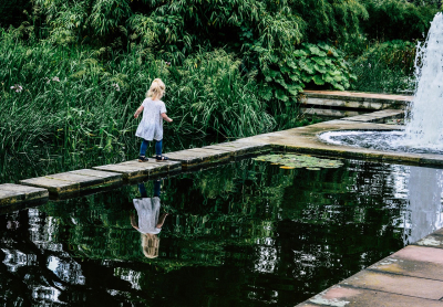 Gartenträume in Cottbus - Ein Paradies für Gartenliebhaber