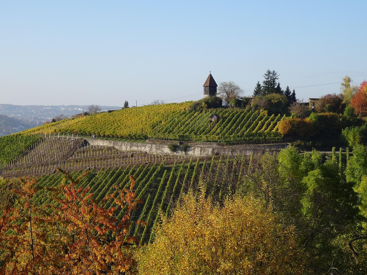 Stäffele, Weinberge und Alltag