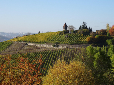 Stäffele, Weinberge und Alltag