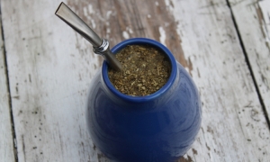 Yerba mate - poprawa nastroju i naturalne pobudzenie